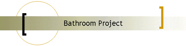 Bathroom Project