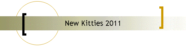 New Kitties 2011