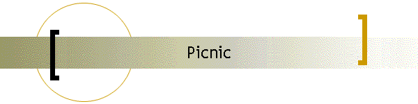 Picnic